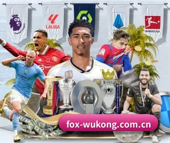每个板块围绕一个运动项目展开 - 多运动项目内容板块（wukongsports）